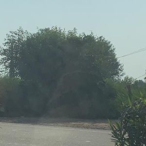 Meet your Posher, Amanpreet